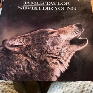 James Taylor 'Never Die Young'  vintage Vinyl Record 1988